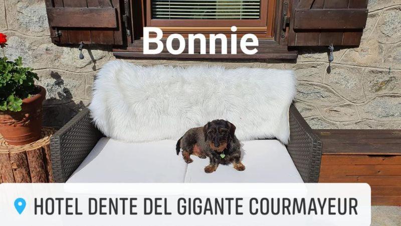 Hotel Dente Del Gigante Courmayeur Exteriér fotografie